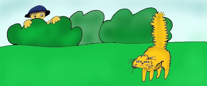 CATR client-provided cartoon cat artwork